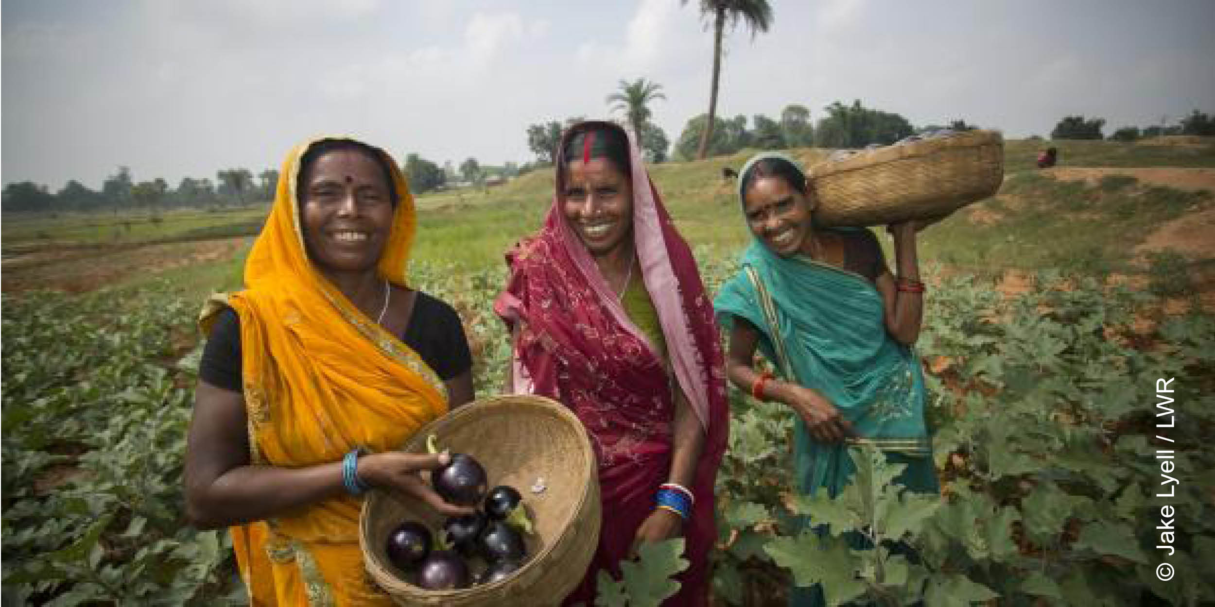 Evidence-informed policy change to improve access to groundwater in West Bengal, India