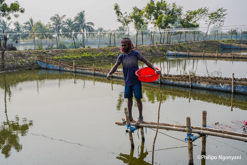 For Illustrative purpose only