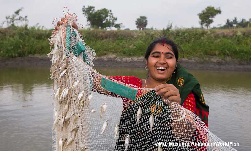 Can aquaculture help livelihoods, nutrition, and social empowerment? Our new systematic review is investigating