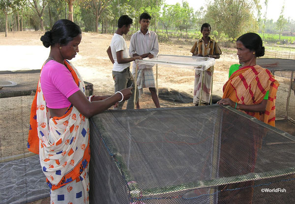 What do we know about the impacts of aquaculture?