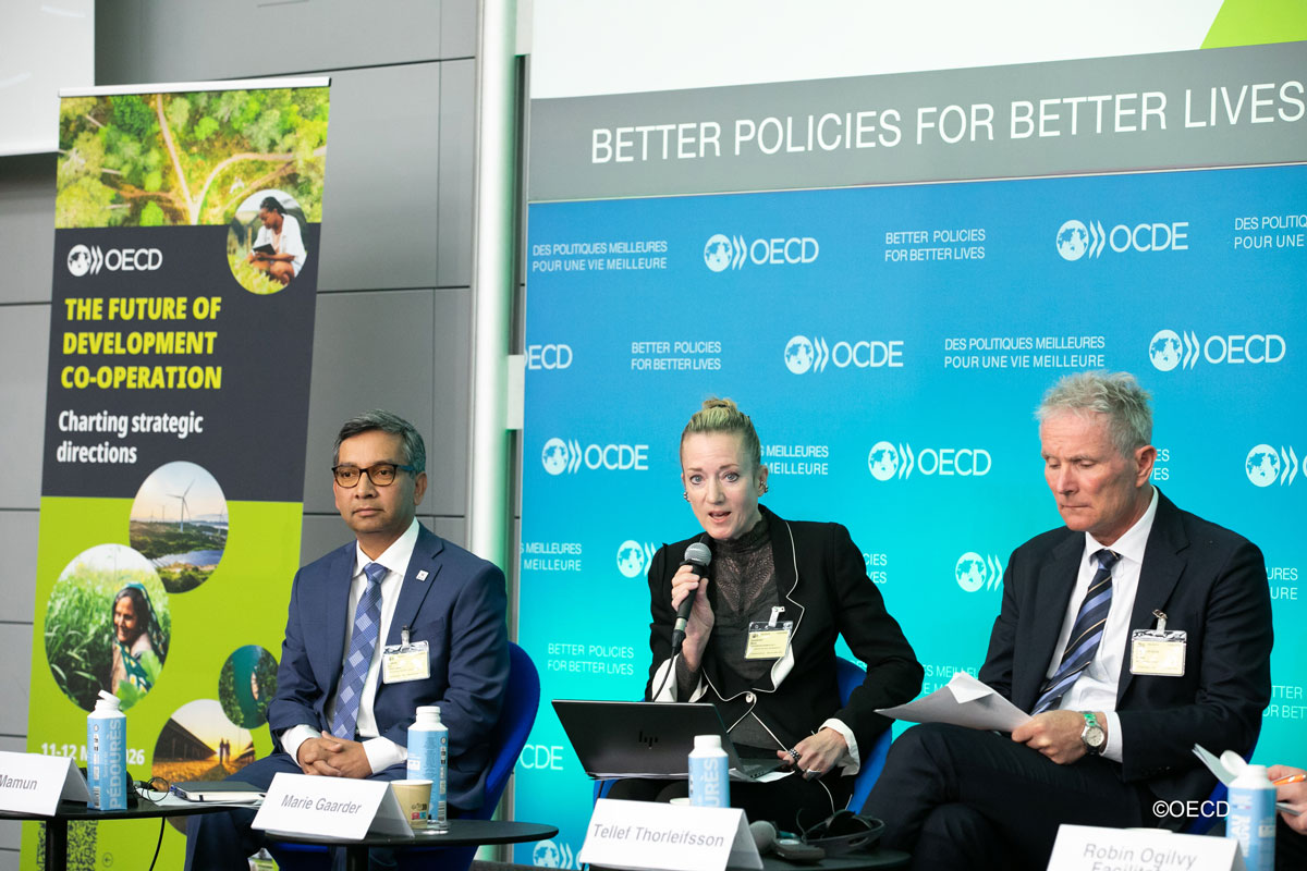 OECD panel
