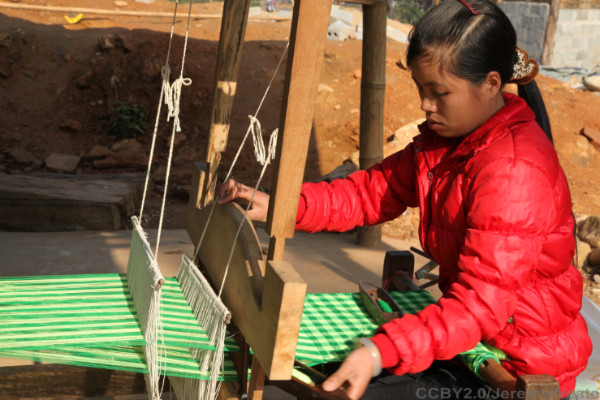 Adding training on financial management and gender equality to microfinance in Vietnam