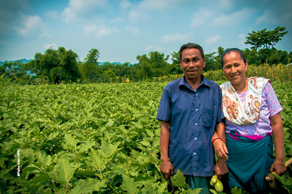 On World Food Day, think once more about food systems, instead of just deciding what to eat today