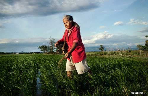 agriculture innovation