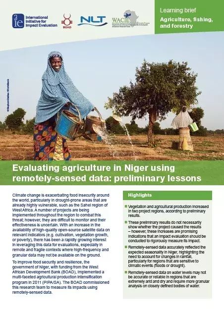 Evaluating agriculture in Niger using remotely-sensed data: preliminary lessons