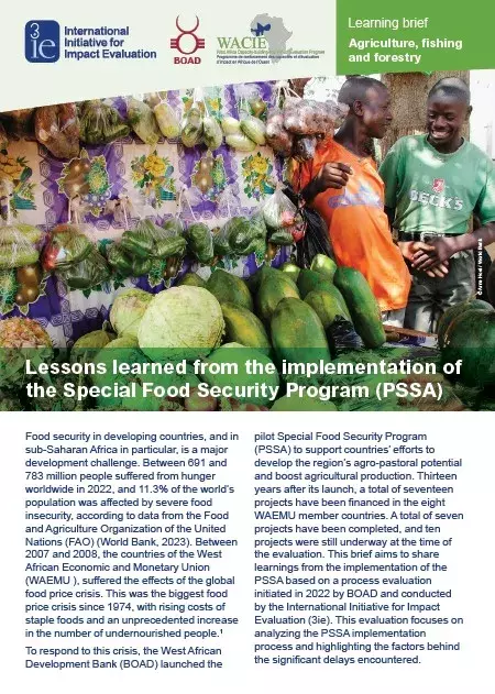 Lessons learned from the implementation of the Special Food Security Program (PSSA)