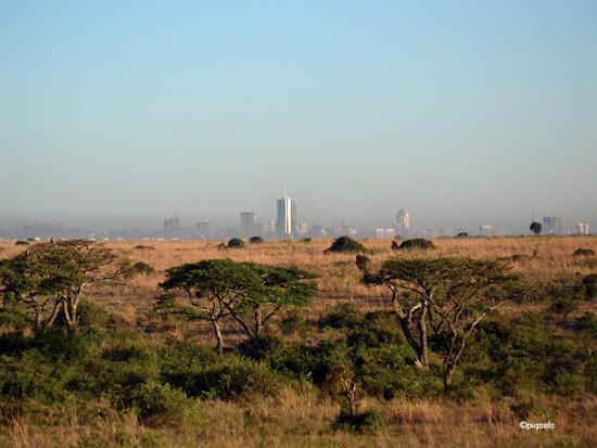 Mapping the impact of urbanization on vegetation in Nairobi, the 'green city in the sun’