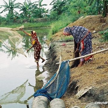 The impact of aquaculture on productivity, income, nutrition and women’s empowerment: A call for evidence
