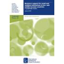 Business support for small and medium enterprises in low- and middle-income countries