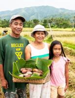 Request for Qualifications: Impact evaluation of agriculture and health sector programs in the Philippines